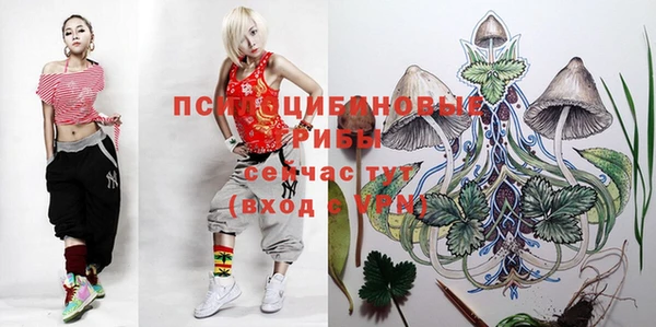 гашик Семикаракорск